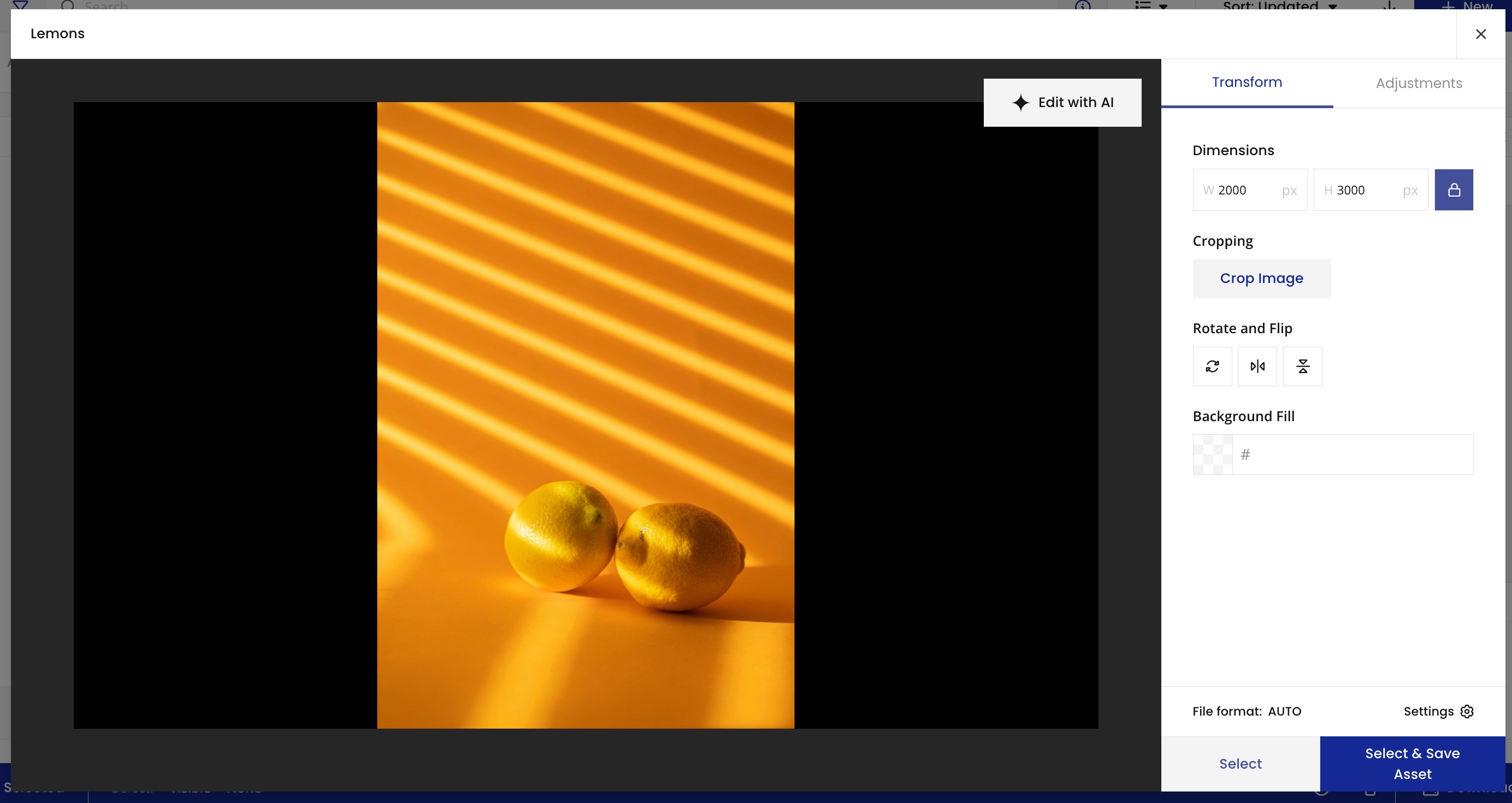 The DAT preview panel in the template builder